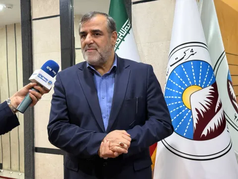 معاون امور بانکی و بیمه وزارت اقتصاد در حاشیه مجمع عمومی عادی سالیانه بیمه ایران مطرح کرد؛  بیمه ایر...