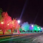 آلودگی نوری، عامل مرگ تدریجی درختان ولیعصر