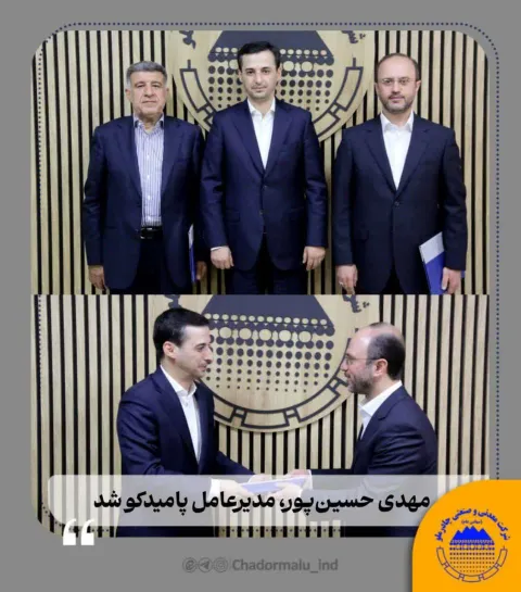 مهدی حسینپور، مدیرعامل پامیدکو شد