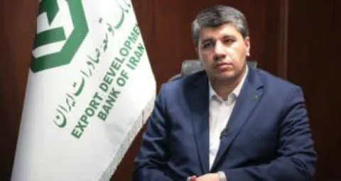 پیام مدیرعامل بانک توسعه صادرات ایران به مناسبت هفته دولت  