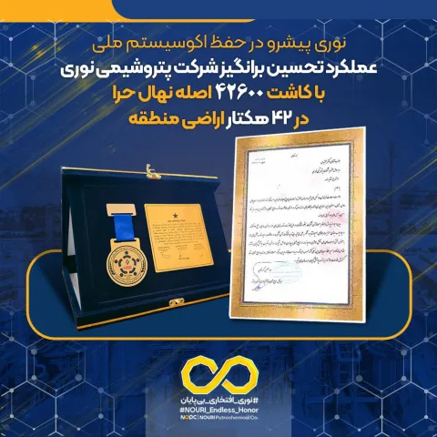 نوری پیشرو در حفظ اکوسیستم ملی؛ عملکرد تحسین برانگیز شرکت پتروشیمی نوری با کاشت ۴۲۶۰۰ اصله نهال حرا در ۴۲ هکتار اراضی منطقه