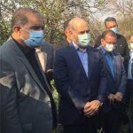 مدیرعامل بانک کشاورزی خبرداد:پرداخت تسهیلات برای احیای باغ های خسارت دیده از زوال مرکبات