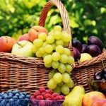 گرمای ۴۰ درجه ای تابستان قیمت میوه ها را آب کرد؛