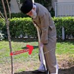 اقدام جالب رهبری هنگام درختکاری در رابطه با کرونا