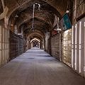 مشاغل برنده و بازنده کرونا در جهان