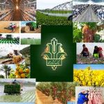 تقویت ۷۰ هزار میلیارد تومانی سرمایه بانک کشاورزی؛ گامی راهبردی برای امنیت غذایی و رونق روستاها