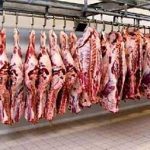 قیمت دام ۴۰درصد ارزان شد، گوشت نه!