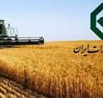 بانک توسعه صادرات ۲۰۰۰ میلیارد ریال تسهیلات برای صادرات کالاهای محصولات کشاورزی اختصاص داد
